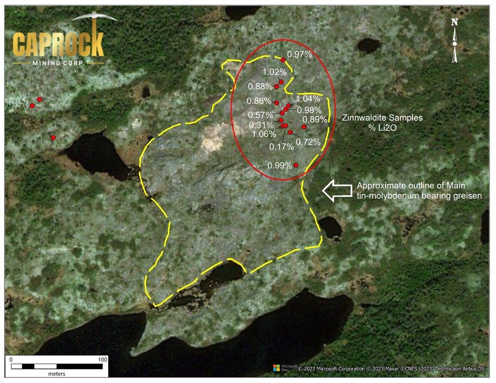 Figure 2 : Localisation des spécimens mis en évidence et contour de la zone Greisen dans la zone de l'étang aux cerfs