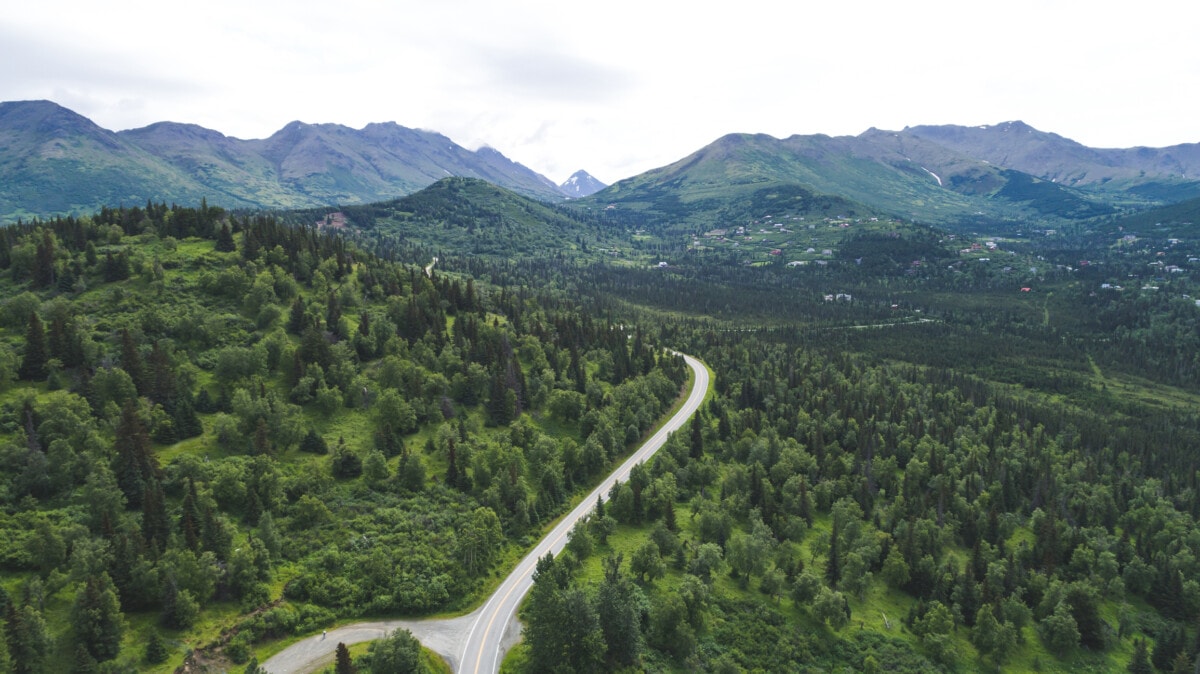 Vue aérienne de la route et de la forêt de l'Alaska