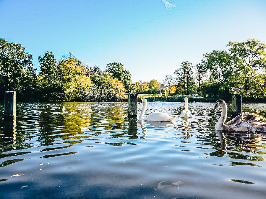 Lac Serpentine