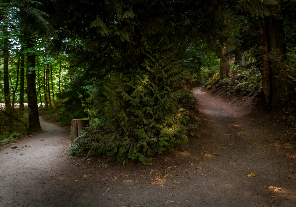 Parc d'État de Bridle Trails