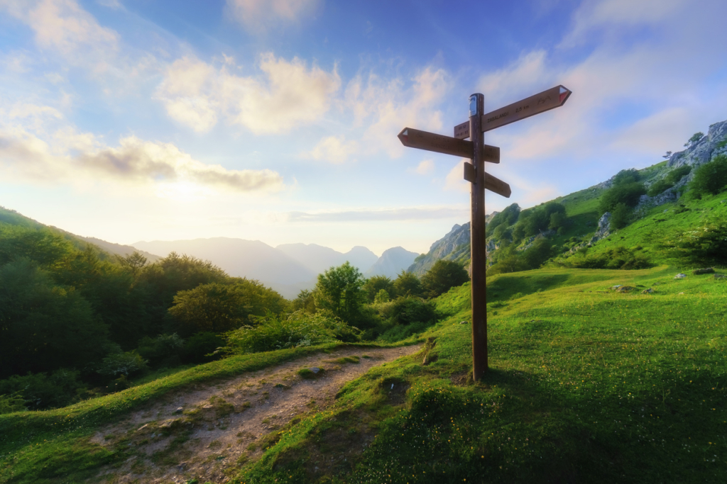 Une représentation du leadership stratégique : un panneau avec des flèches pointant dans différentes directions dans un champ entre un chemin de terre. 