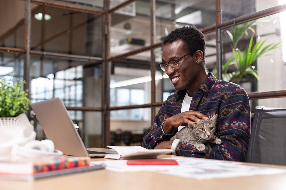 Un jeune homme heureux travaillant sur son ordinateur portable au travail tout en caressant son chat sur ses genoux